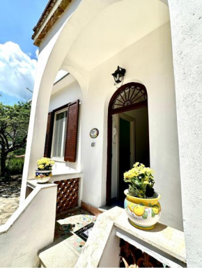 Simona House